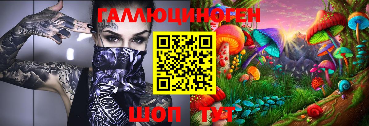Псилоцибиновые грибы Psilocybine cubensis Вязьма